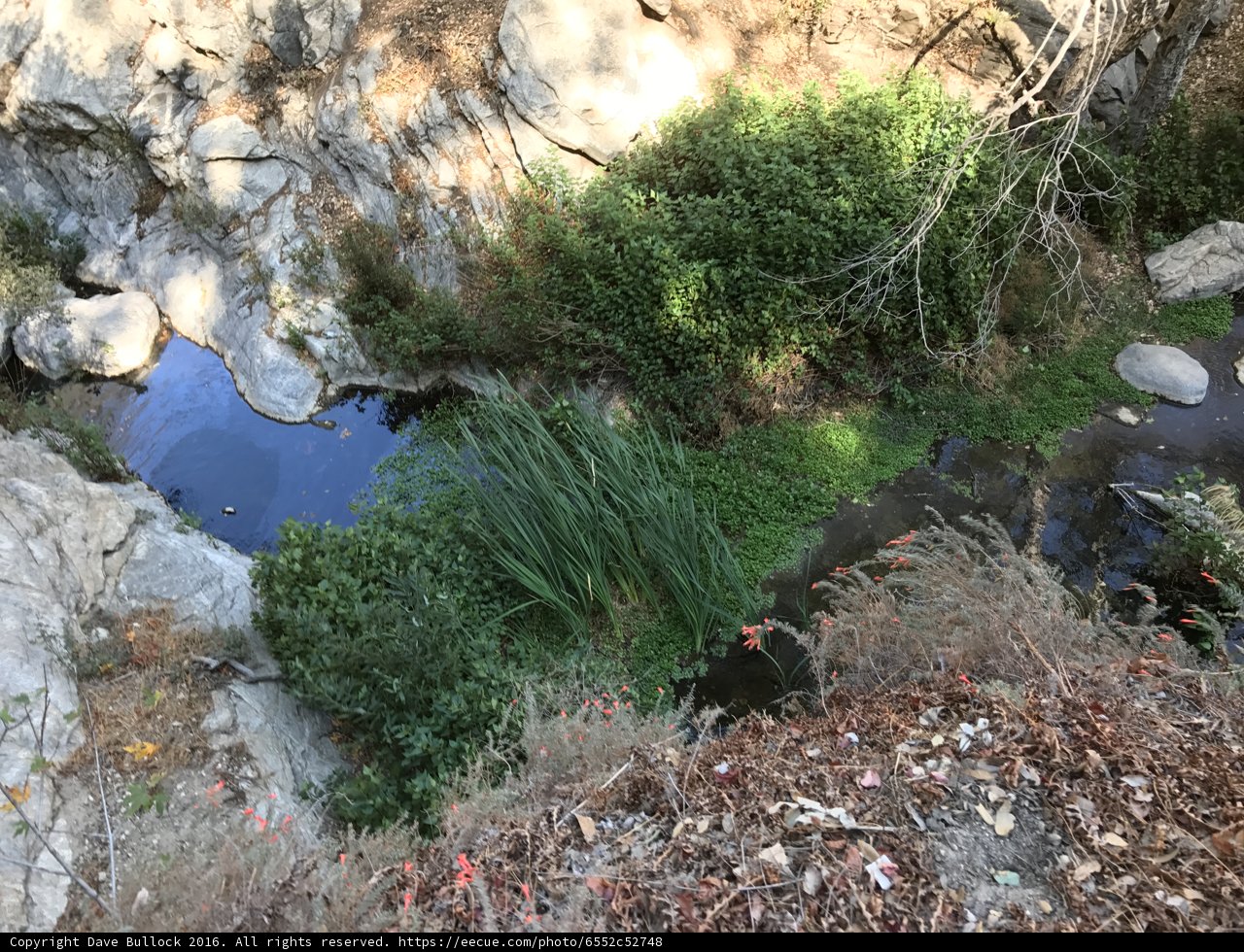 Majestic Stream in Angeles National Forest