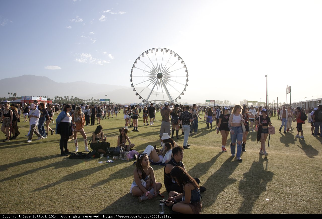 Sunny Reverie at Coachella 2024