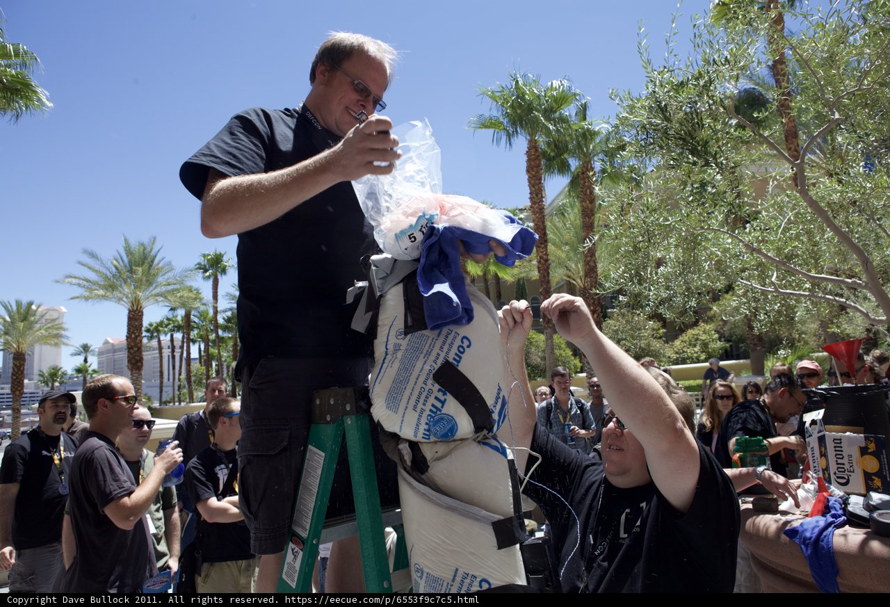 Bag of Ice on a Summer Day
