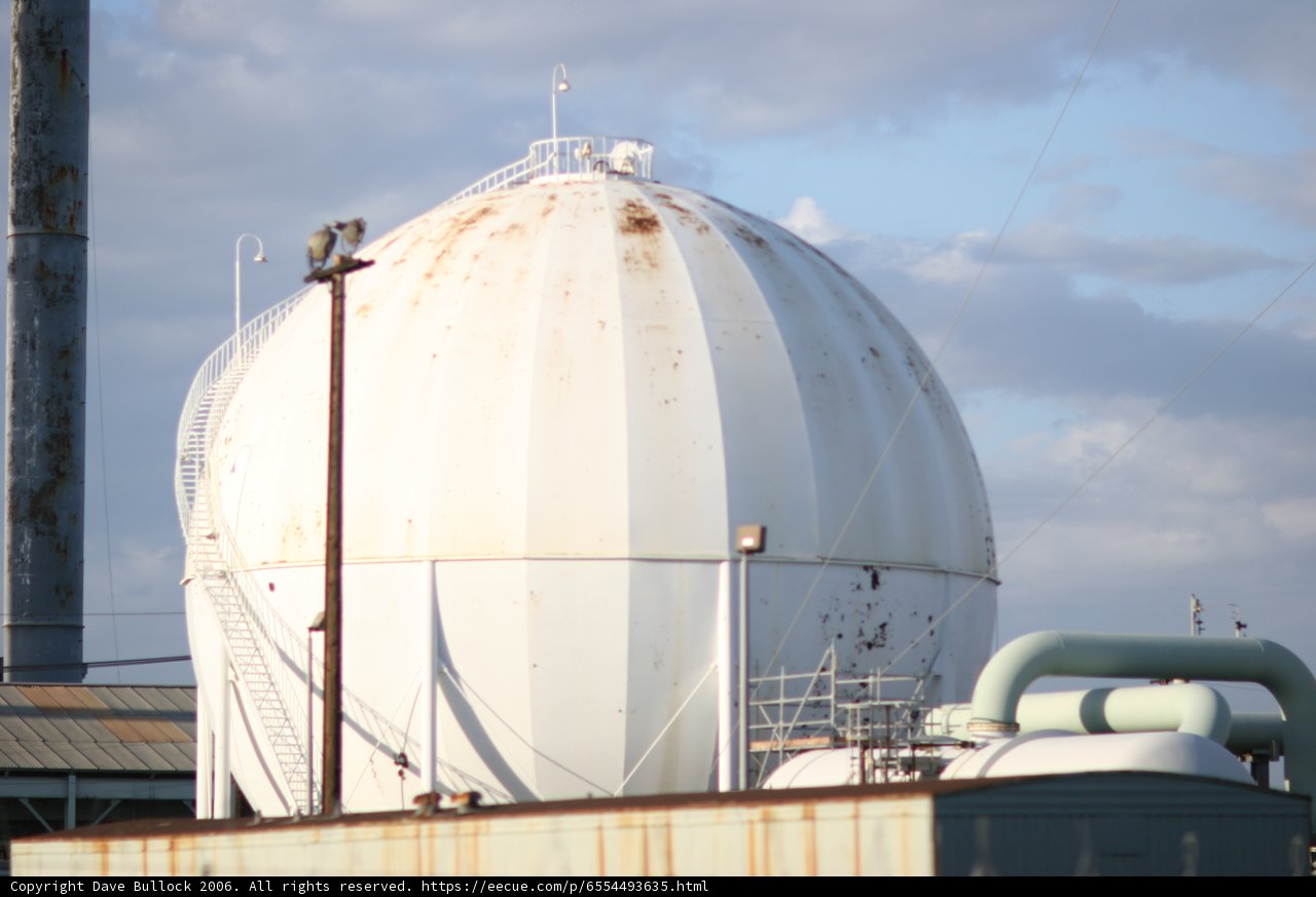 The Majestic Dome