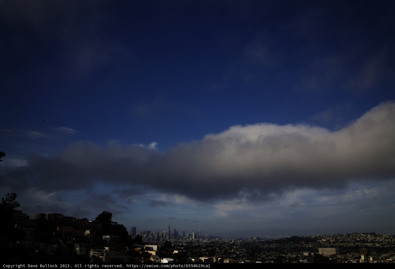 San Francisco's Urban Vista: A Hillside Perspective