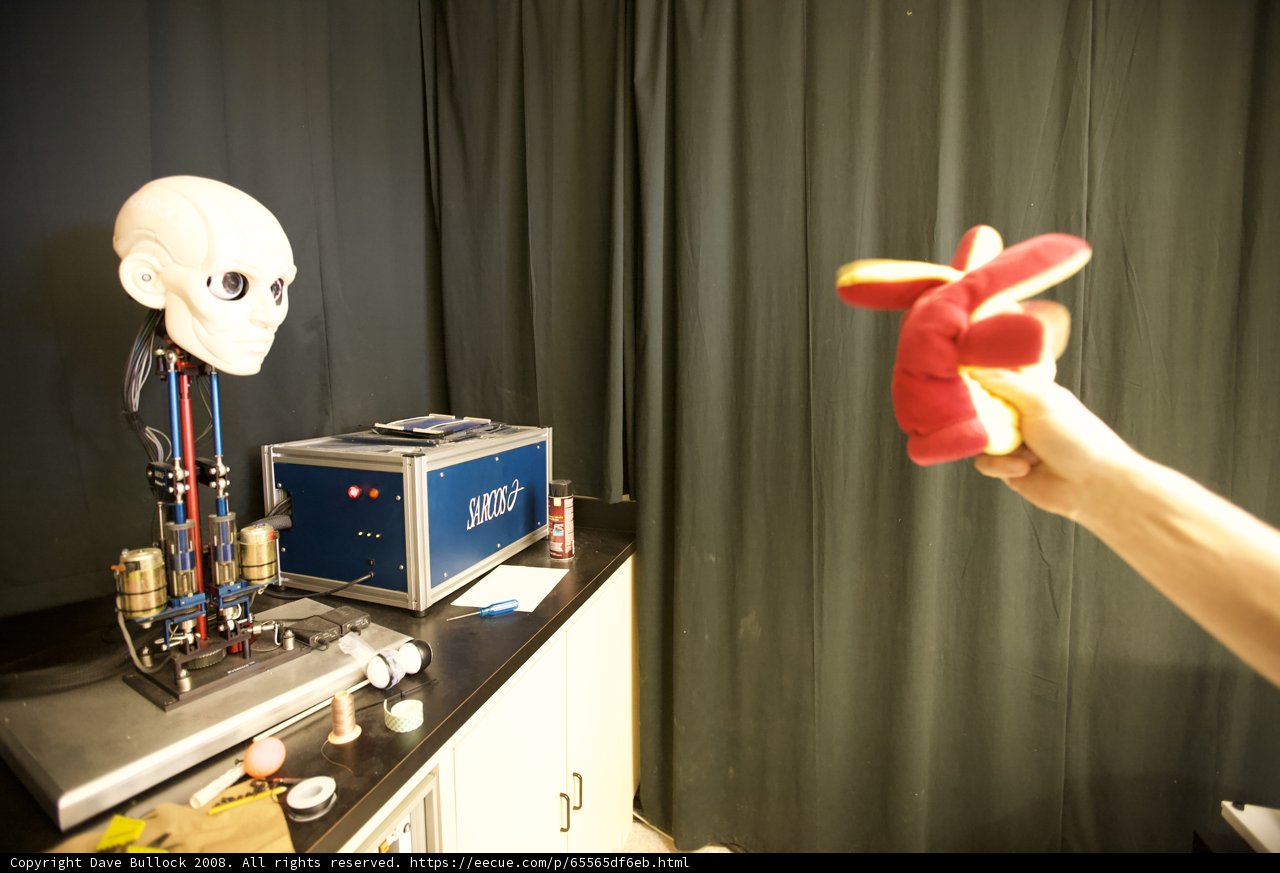 Robot and Stuffed Toy Fun