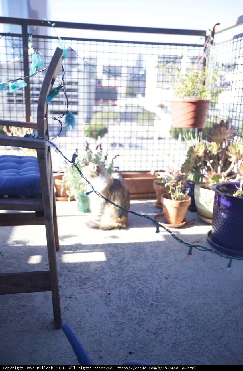 Feline Relaxation on a Balcony Oasis