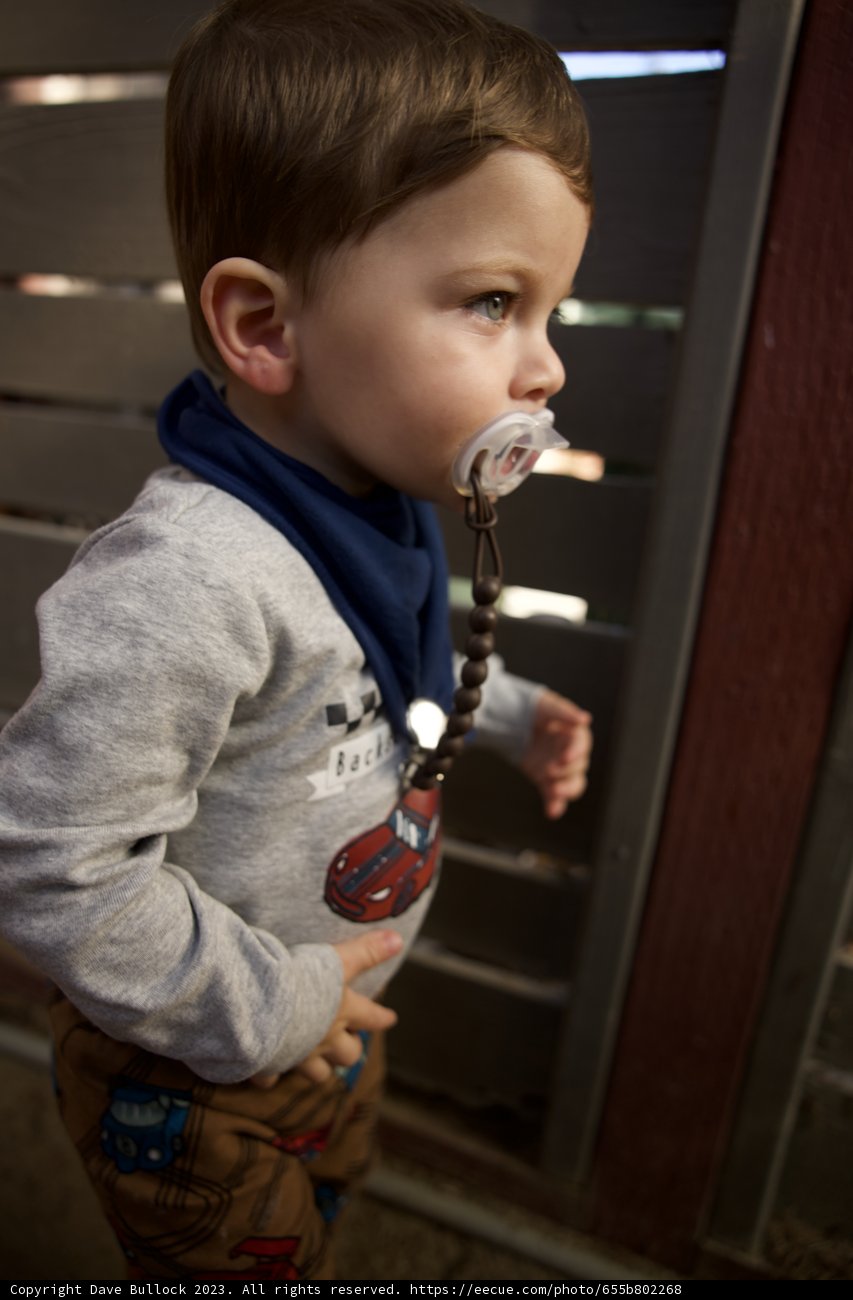 Capturing Childhood: Moments in Downtown Sonoma