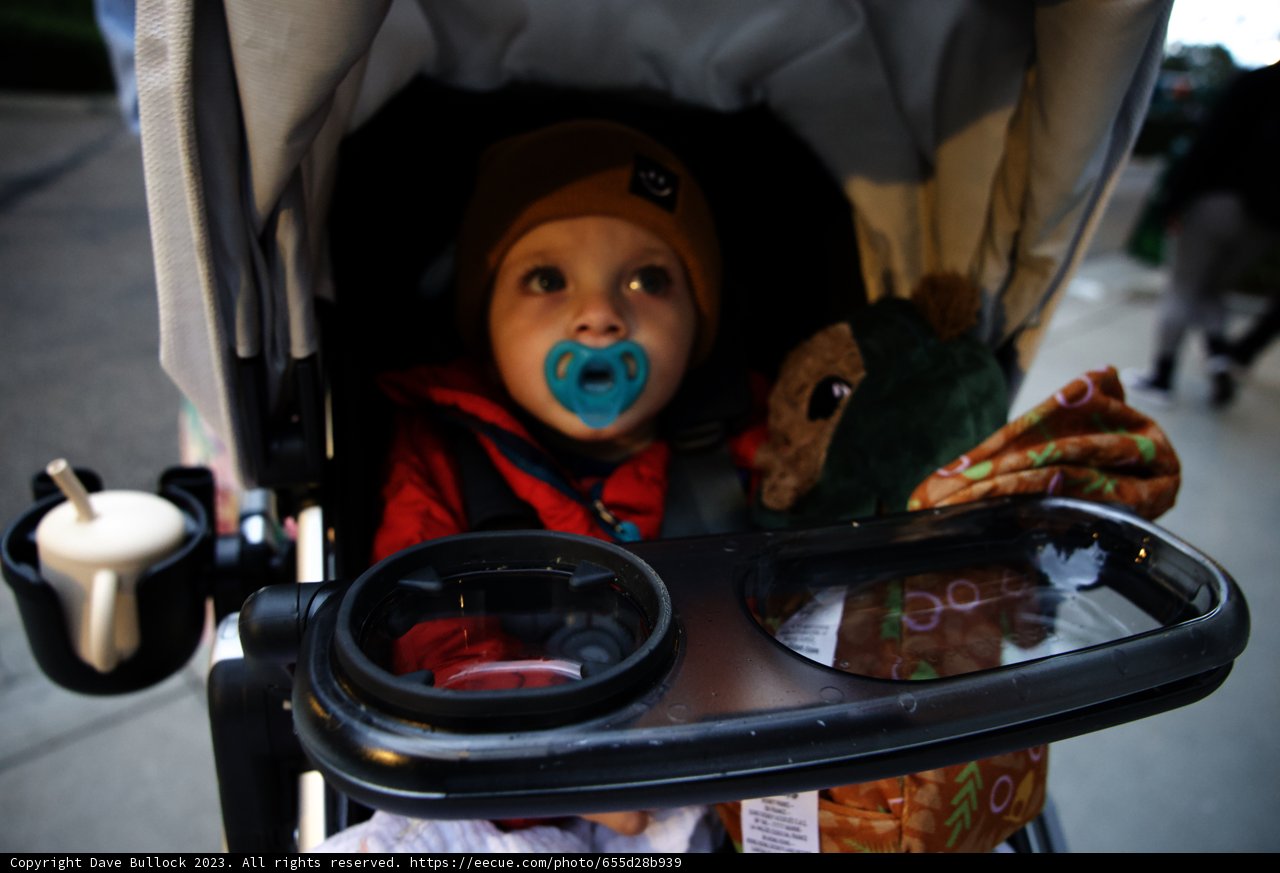 A Magical Day at Disneyland with Baby Wes