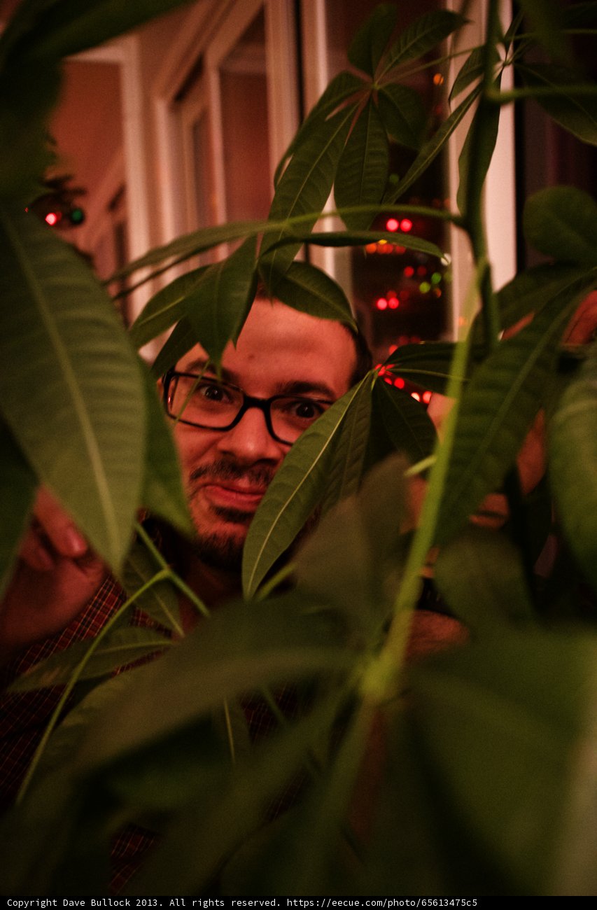 Dave B's Glasses and Foliage Portrait