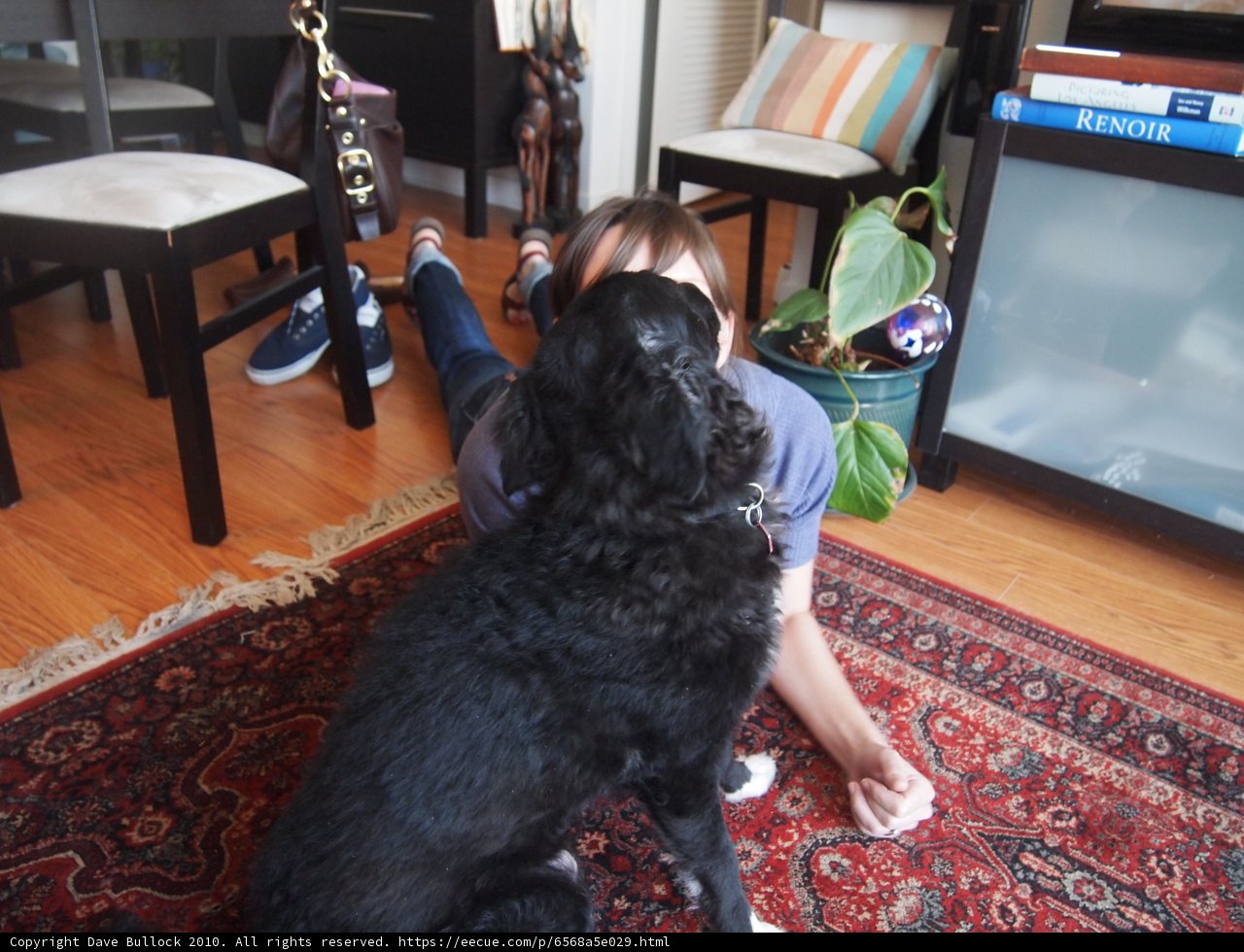 A Cozy Moment with Furry Friend