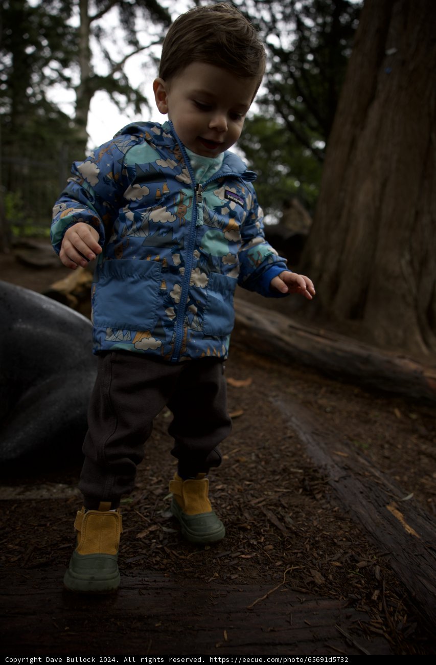 Journey into Nature: Wesley's Adventure at California Academy of Sciences