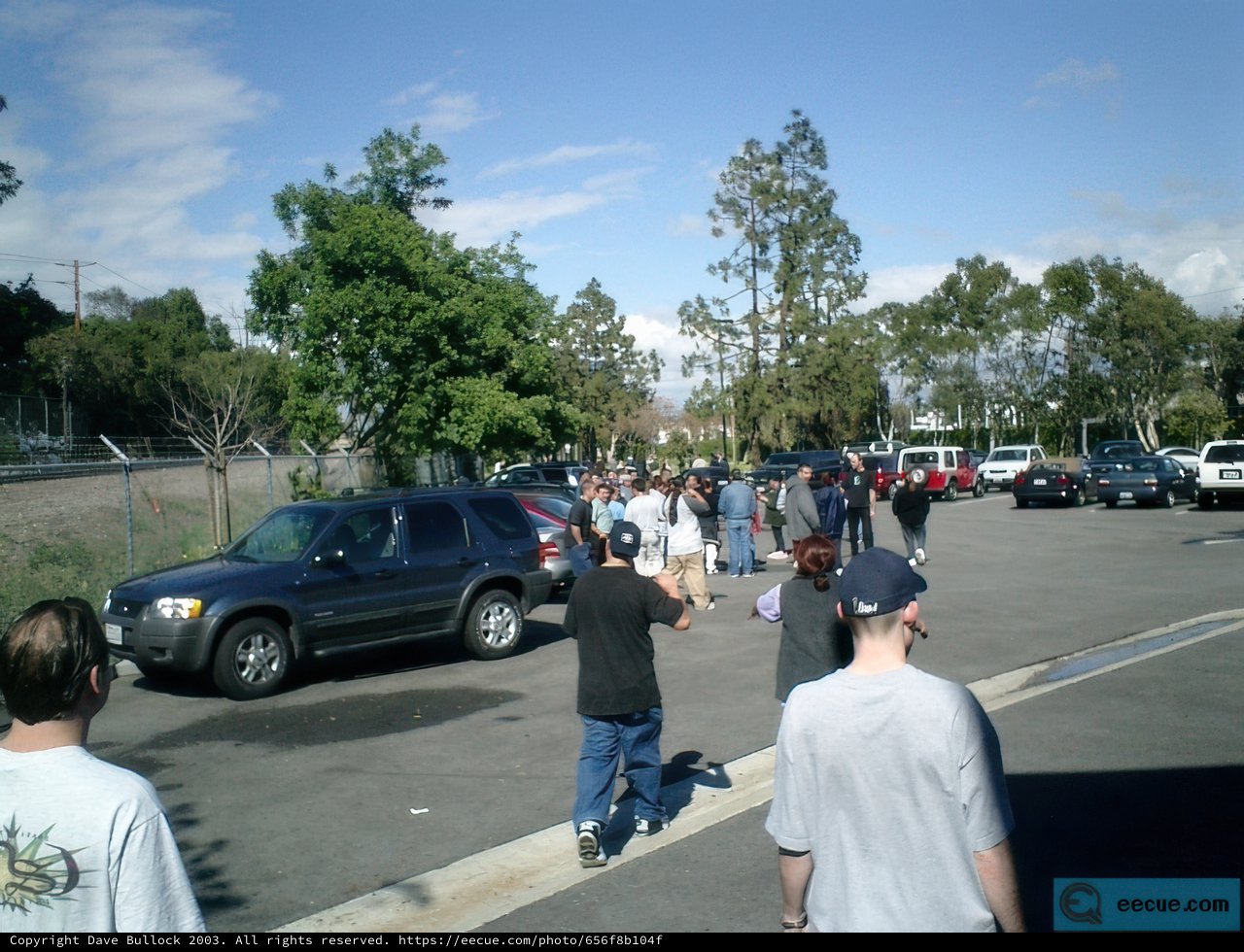 A Gathering in the Parking Lot