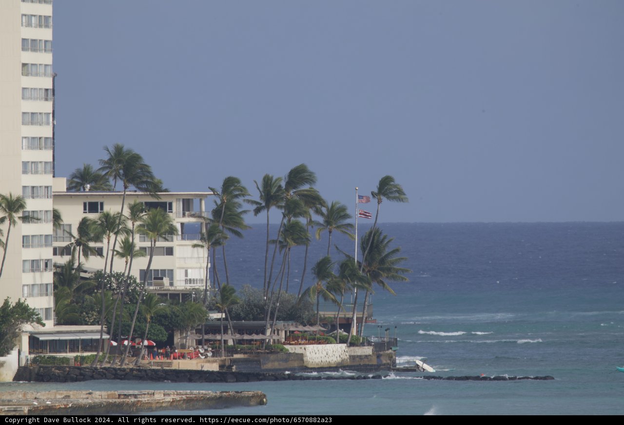 A Glimpse of Paradise: Seaside Resort and Palm Trees in Hawaii