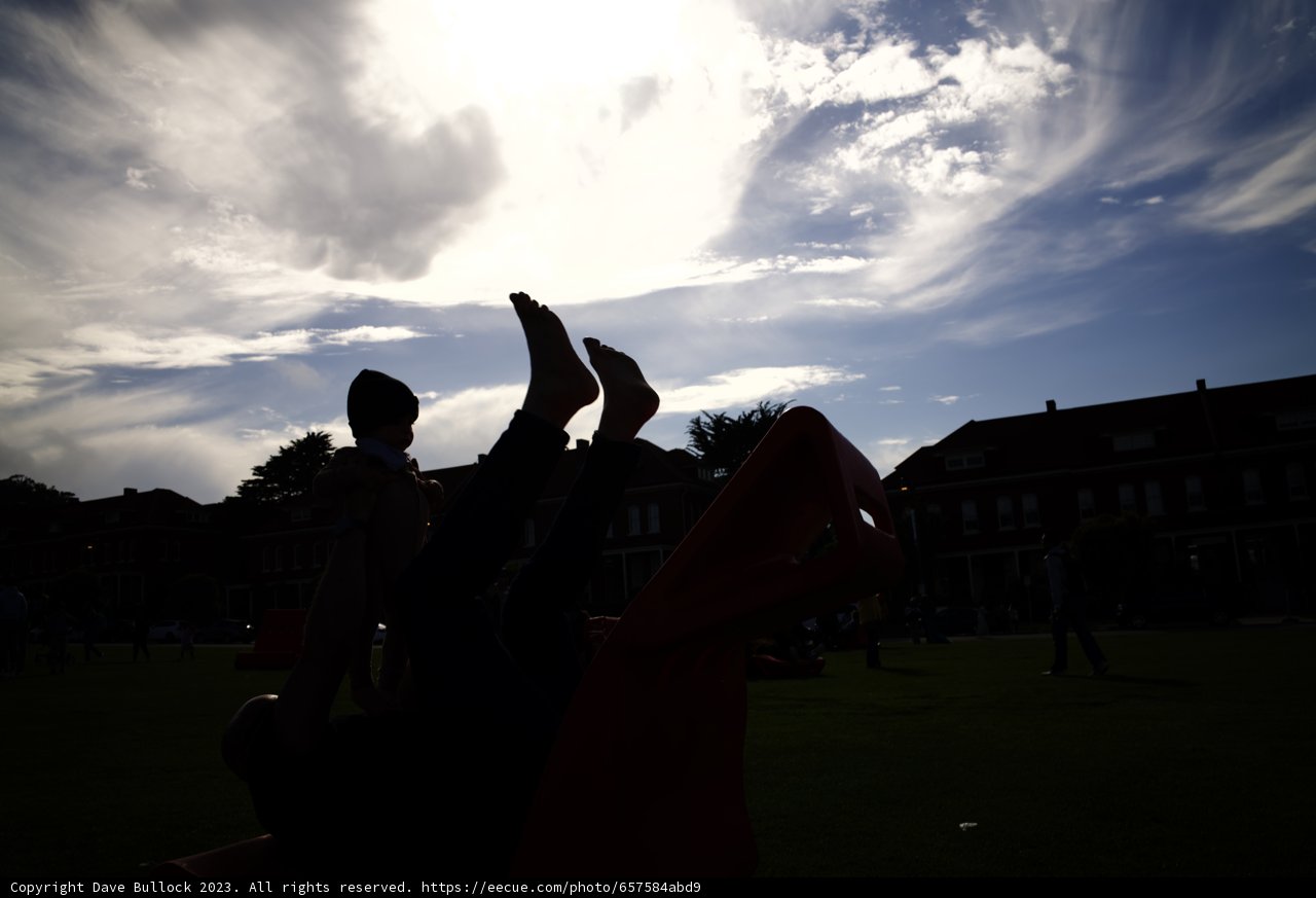 Leisure in the Park
