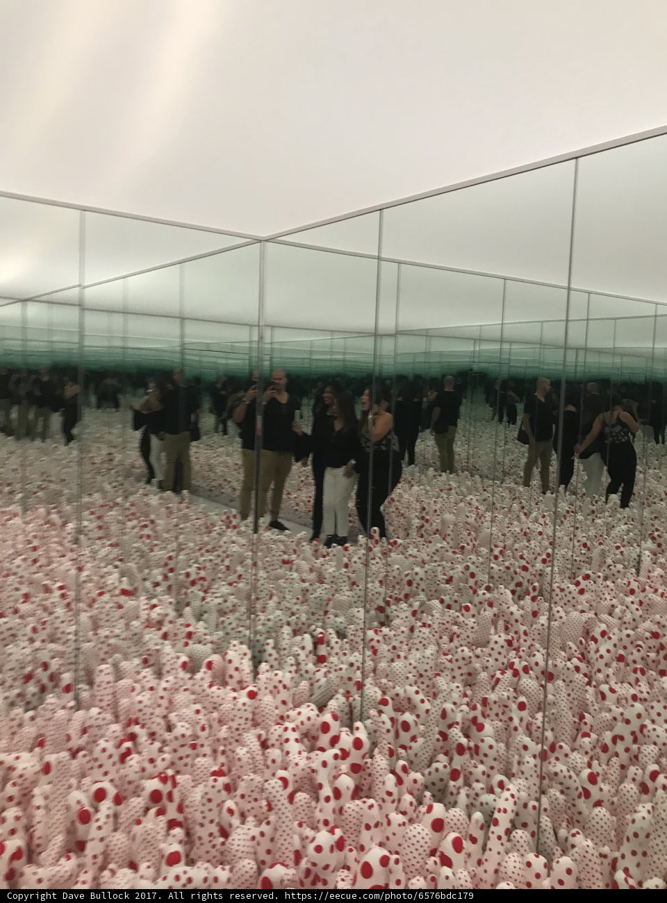 Reflections of a Crowd