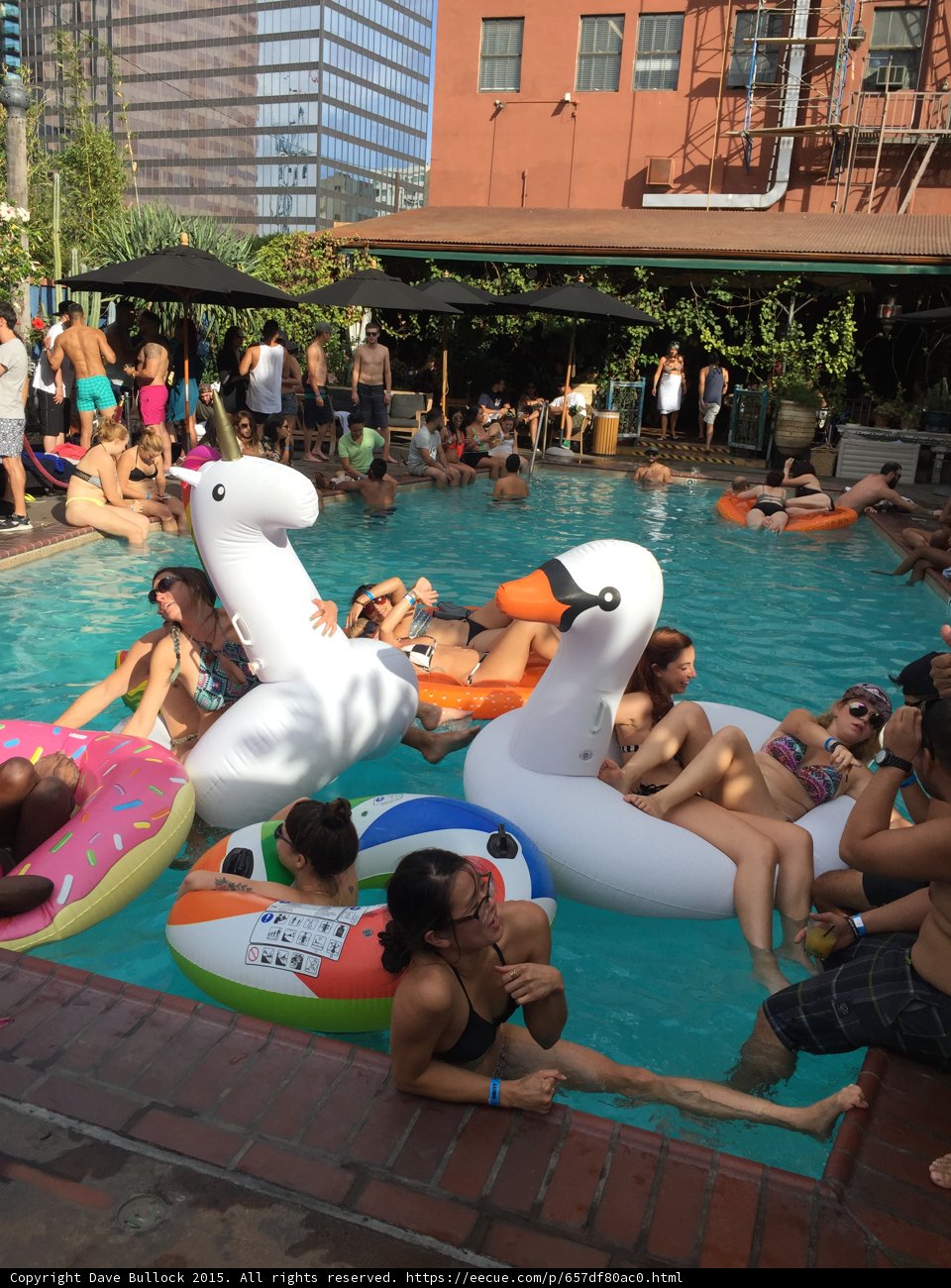 Poolside Paradise