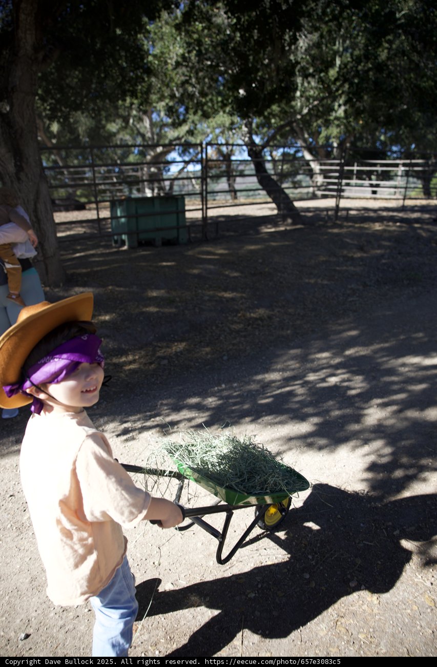 Little Rancher at Work