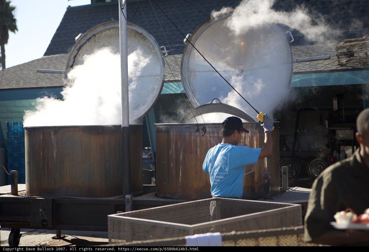 Cooking Up a Storm at the Lobster Festival