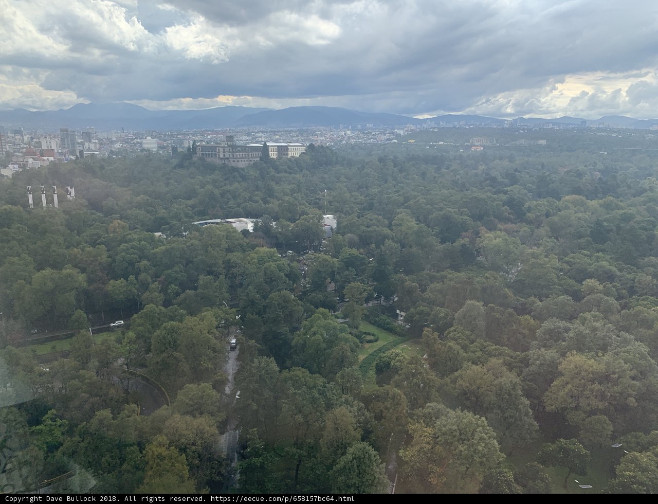 Overlooking the Urban Jungle