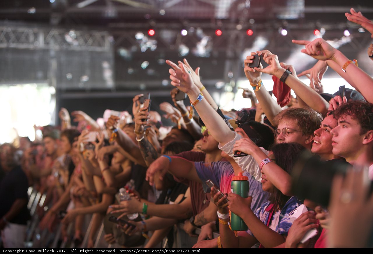 Coachella Crowd goes Wild