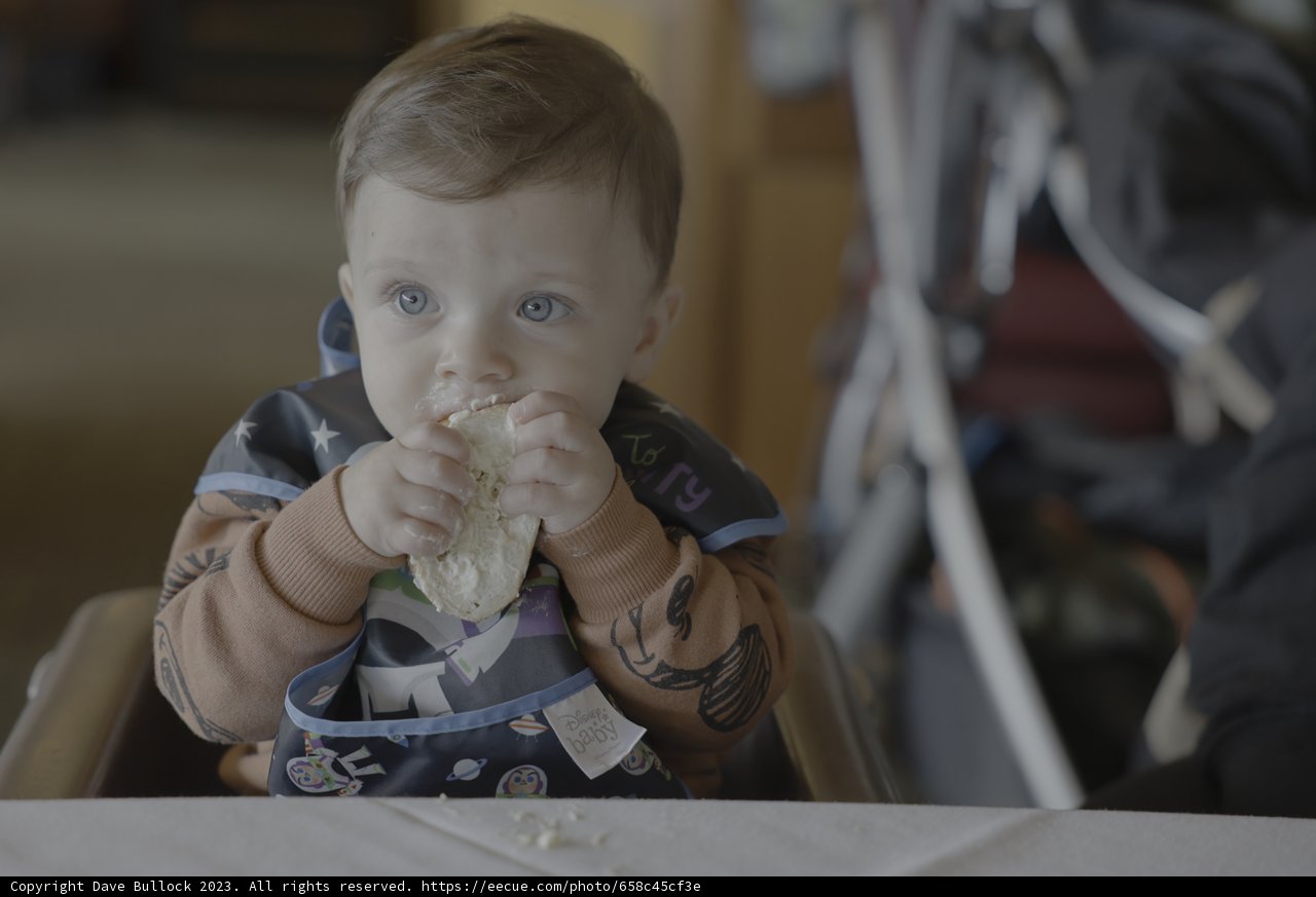 Baby's First Sandwich