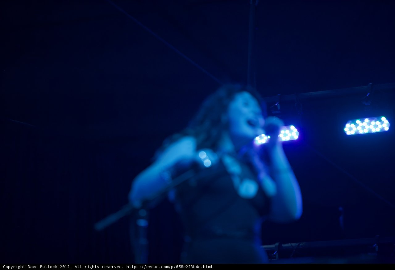 Spotlight on the Songstress
