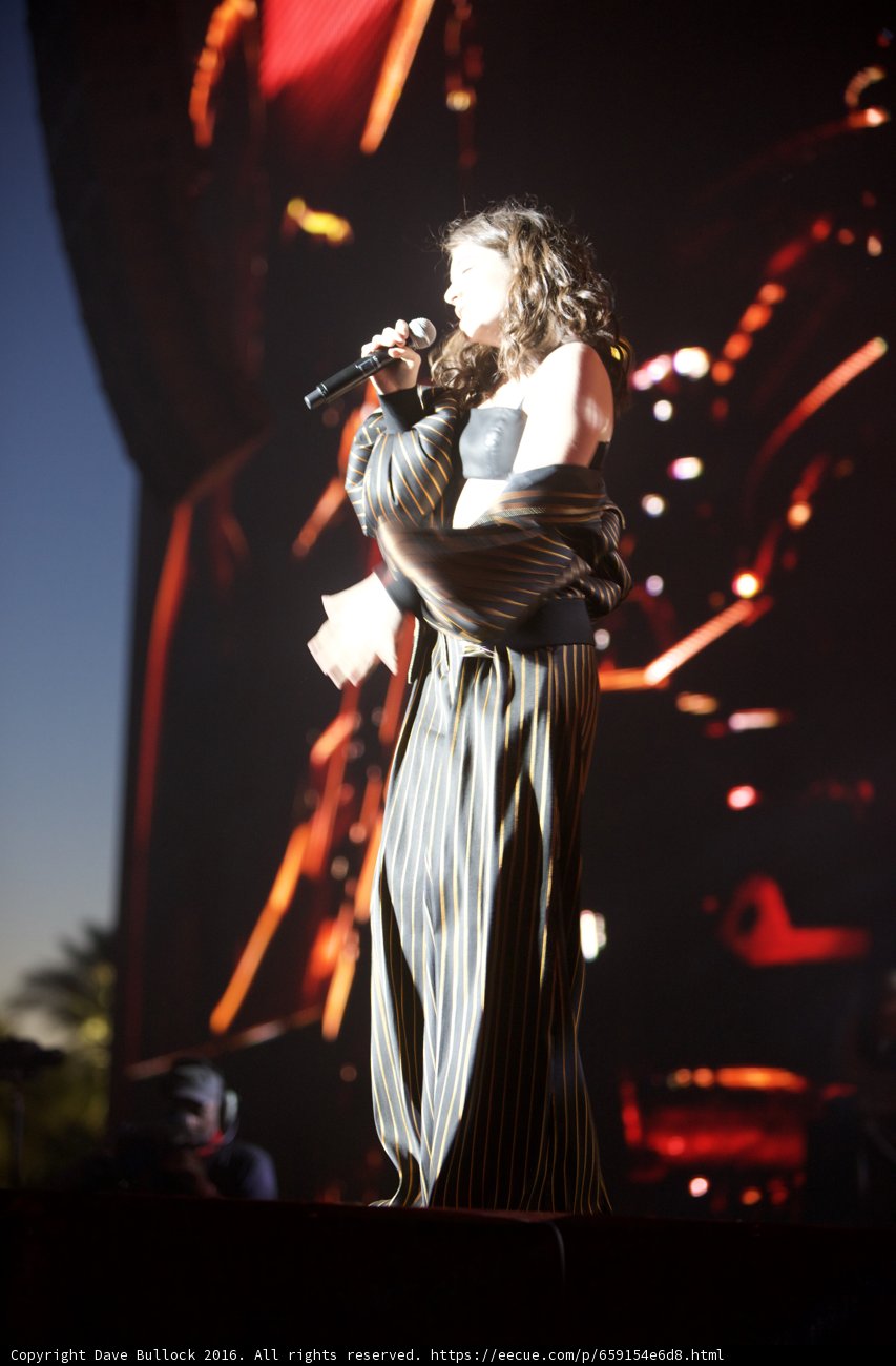 Stripes and Songs