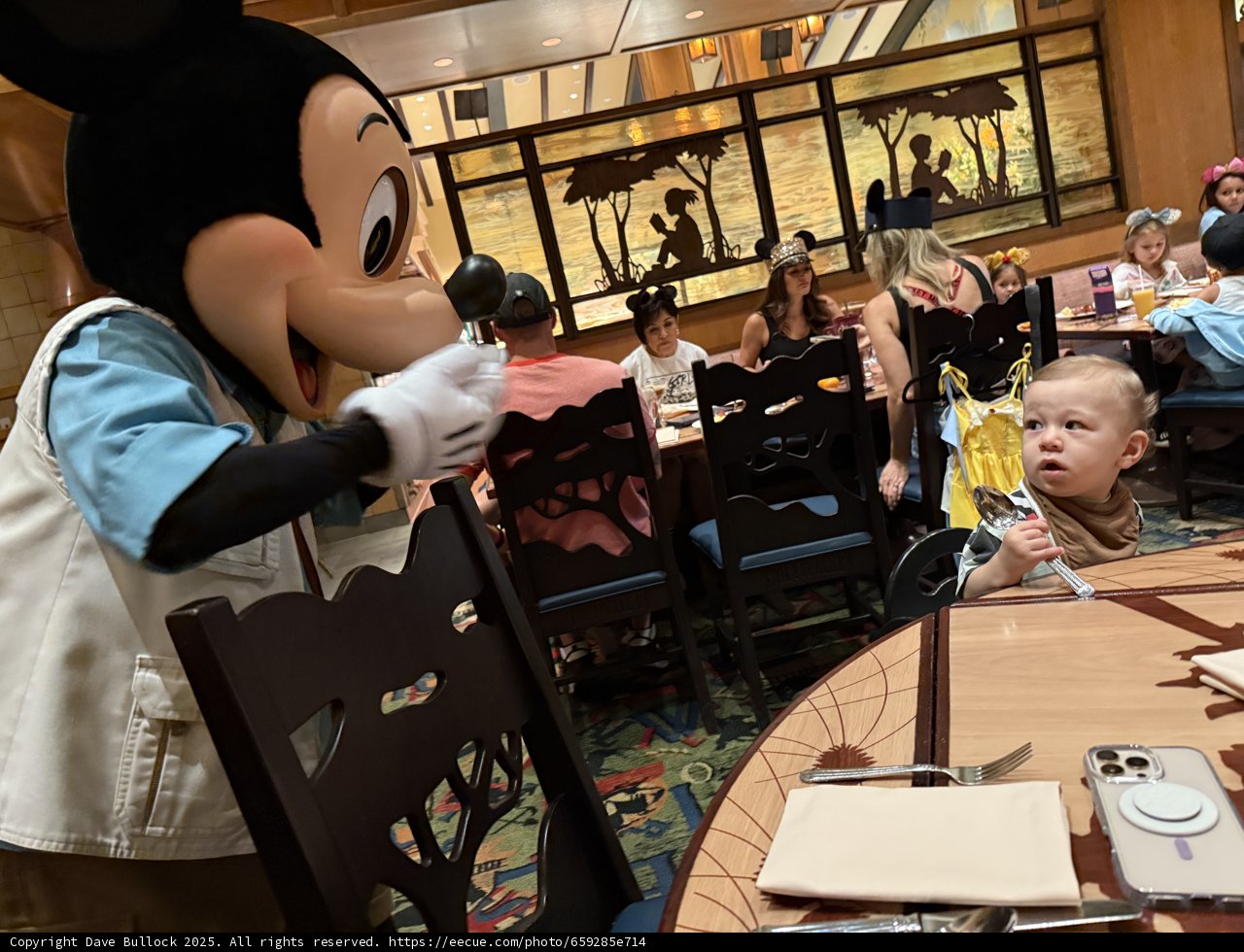 Enchanted Encounter at Disney Dining