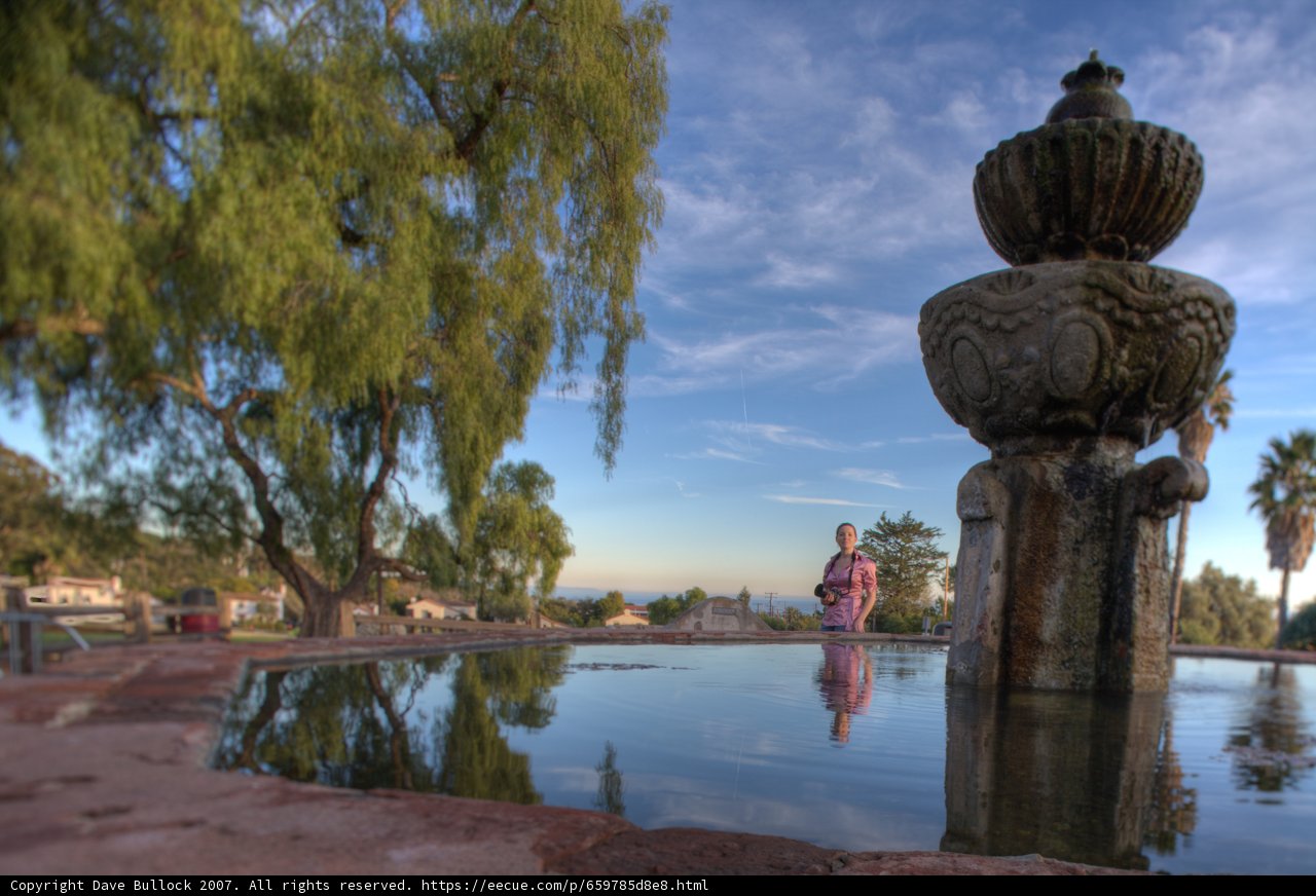 Serene Willow Fountain