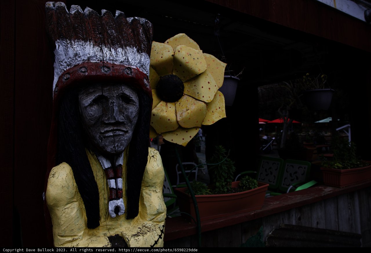 Native American Statue Amidst Nature