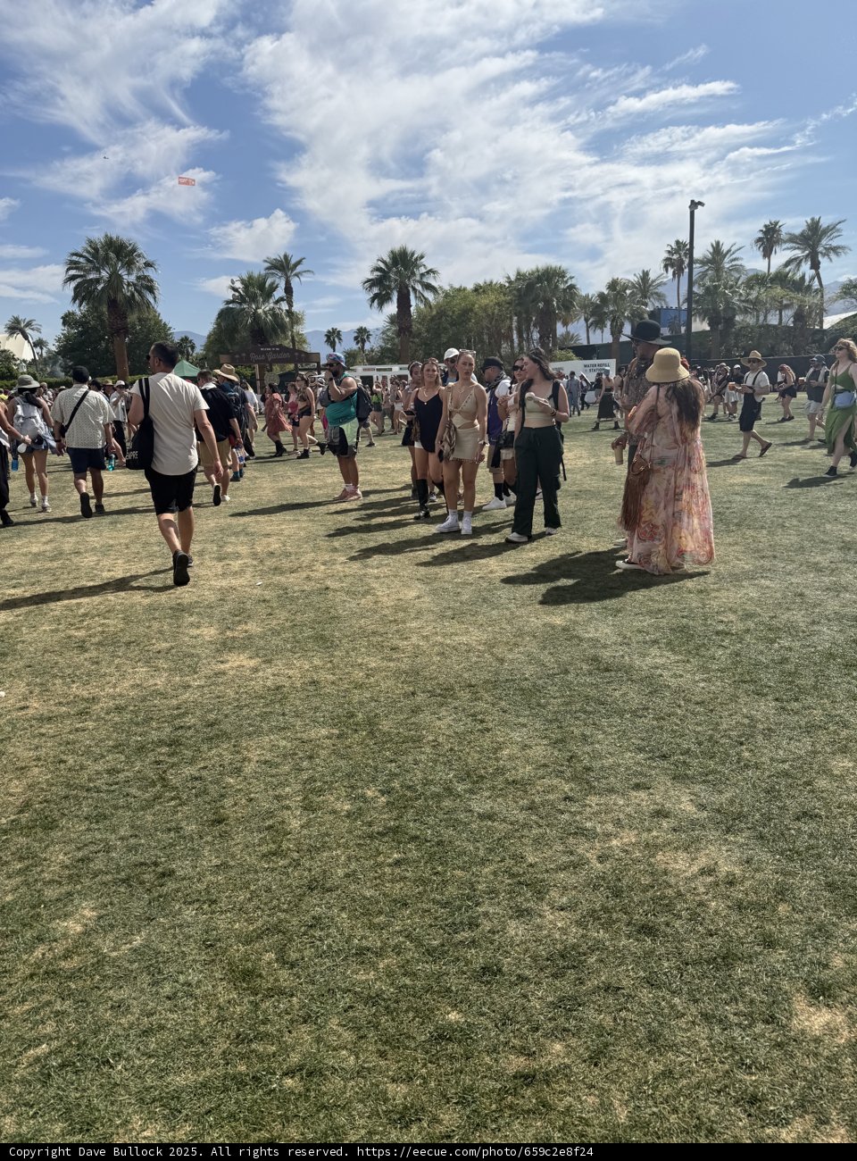 Vibrant Moments Under the Desert Sky