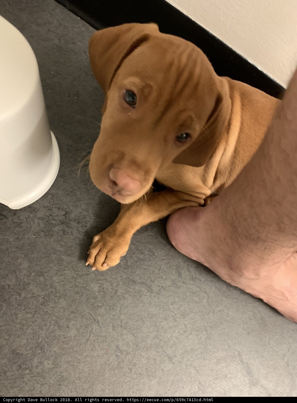 Bathroom Buddy