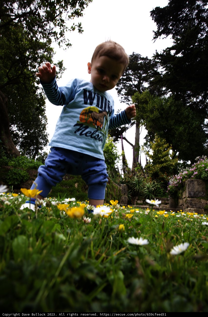 Little Explorer in the Garden