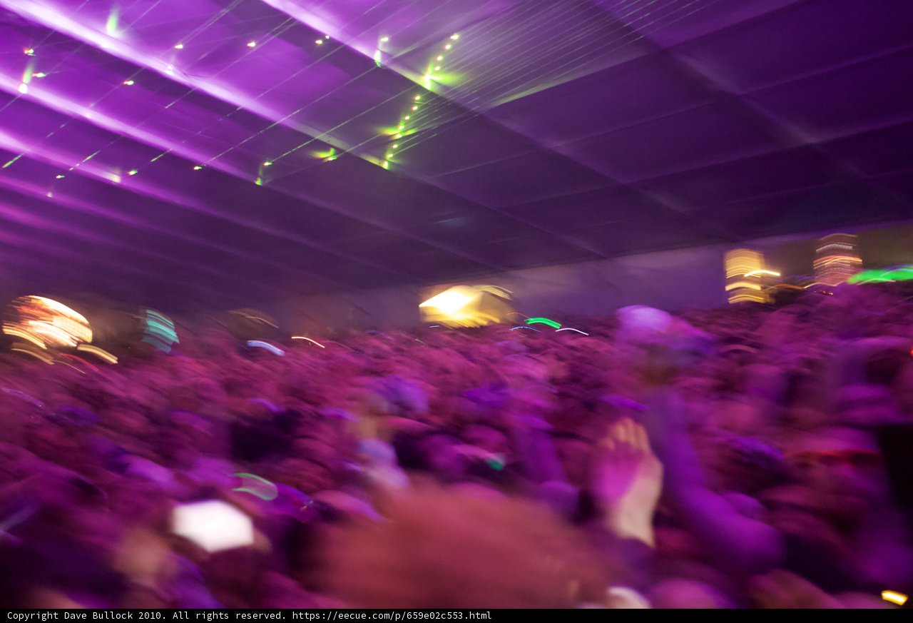 Purplicious Nightlife