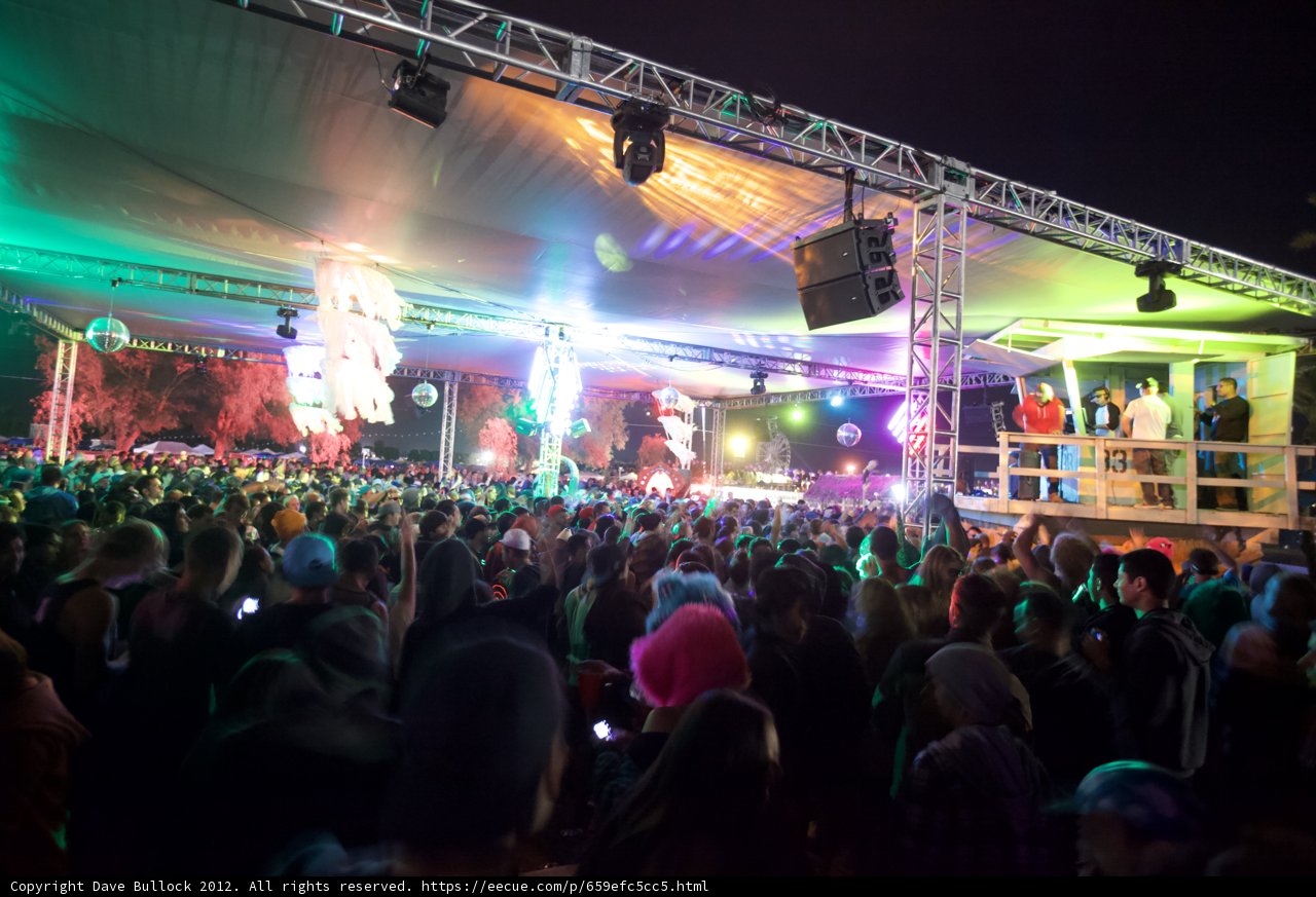 Electrifying Nightlife Performance