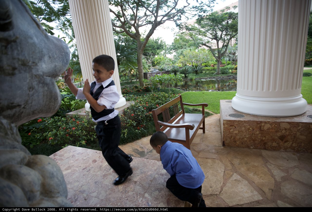 Boys at Play in Garden