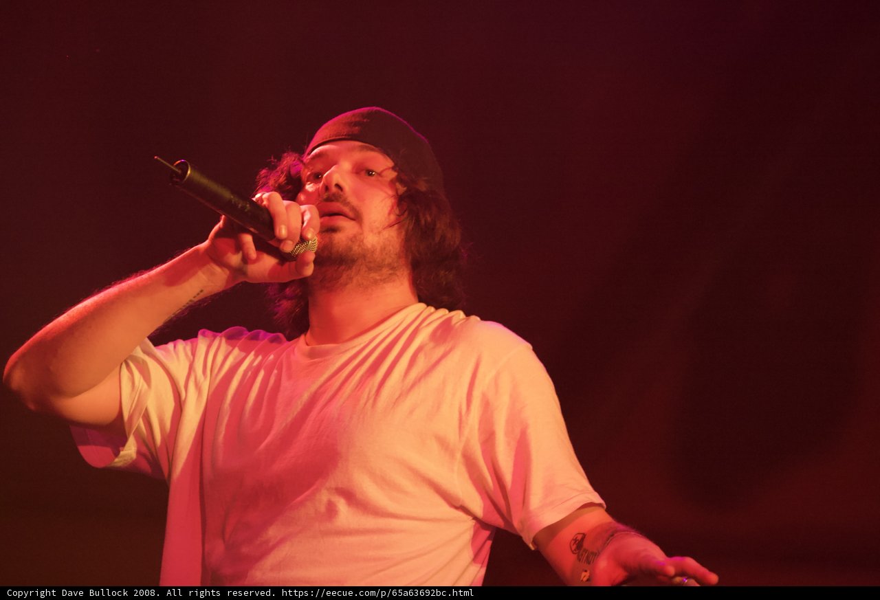 Aesop Rock Performing with the Crowd at Coachella