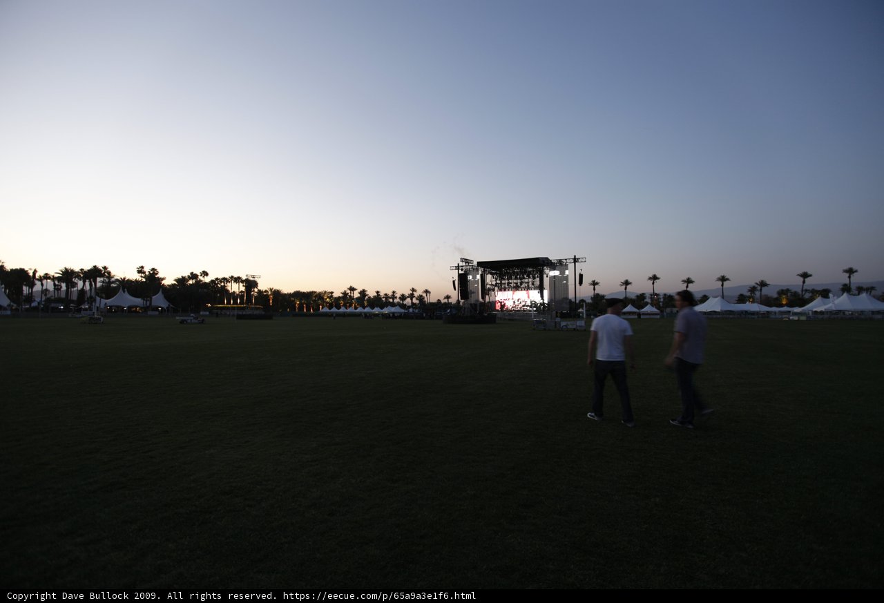 Sunset Stroll in the Grass