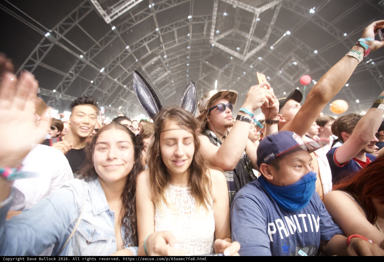 Celebrating with the Coachella Crowd