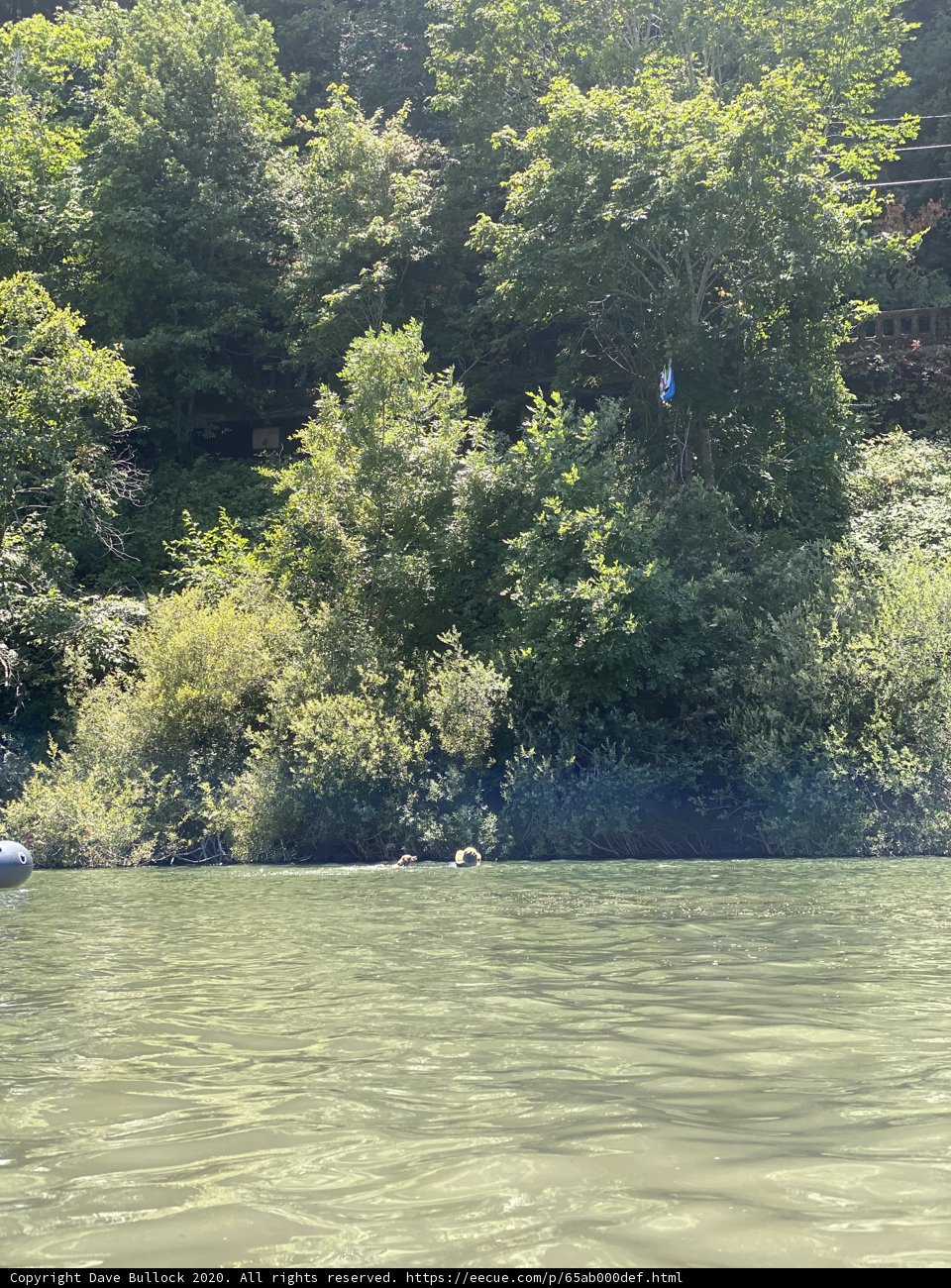 Serenity on the River