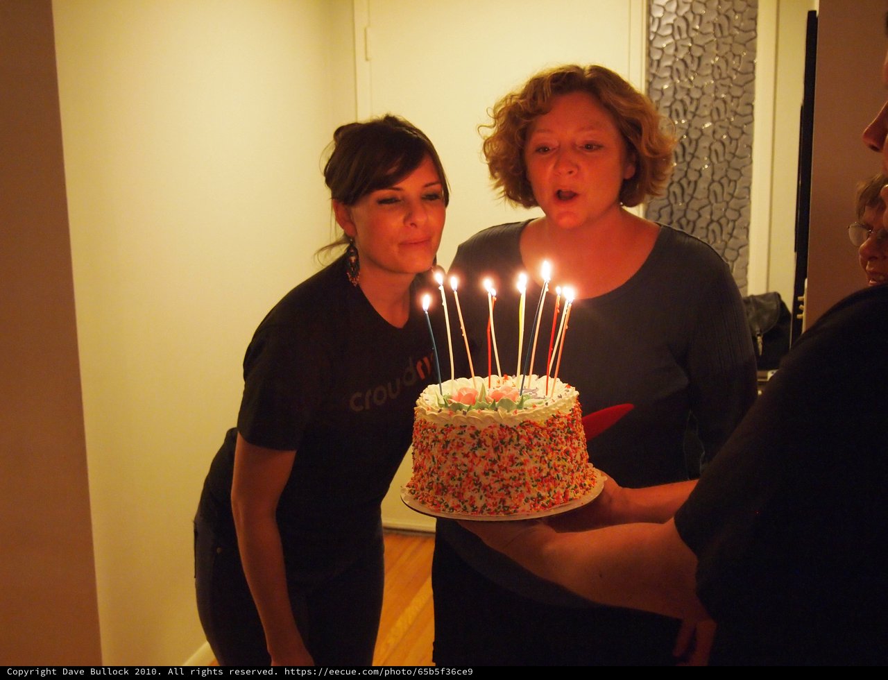 Birthday Wishes: Two Women Blowing Out Candles Together