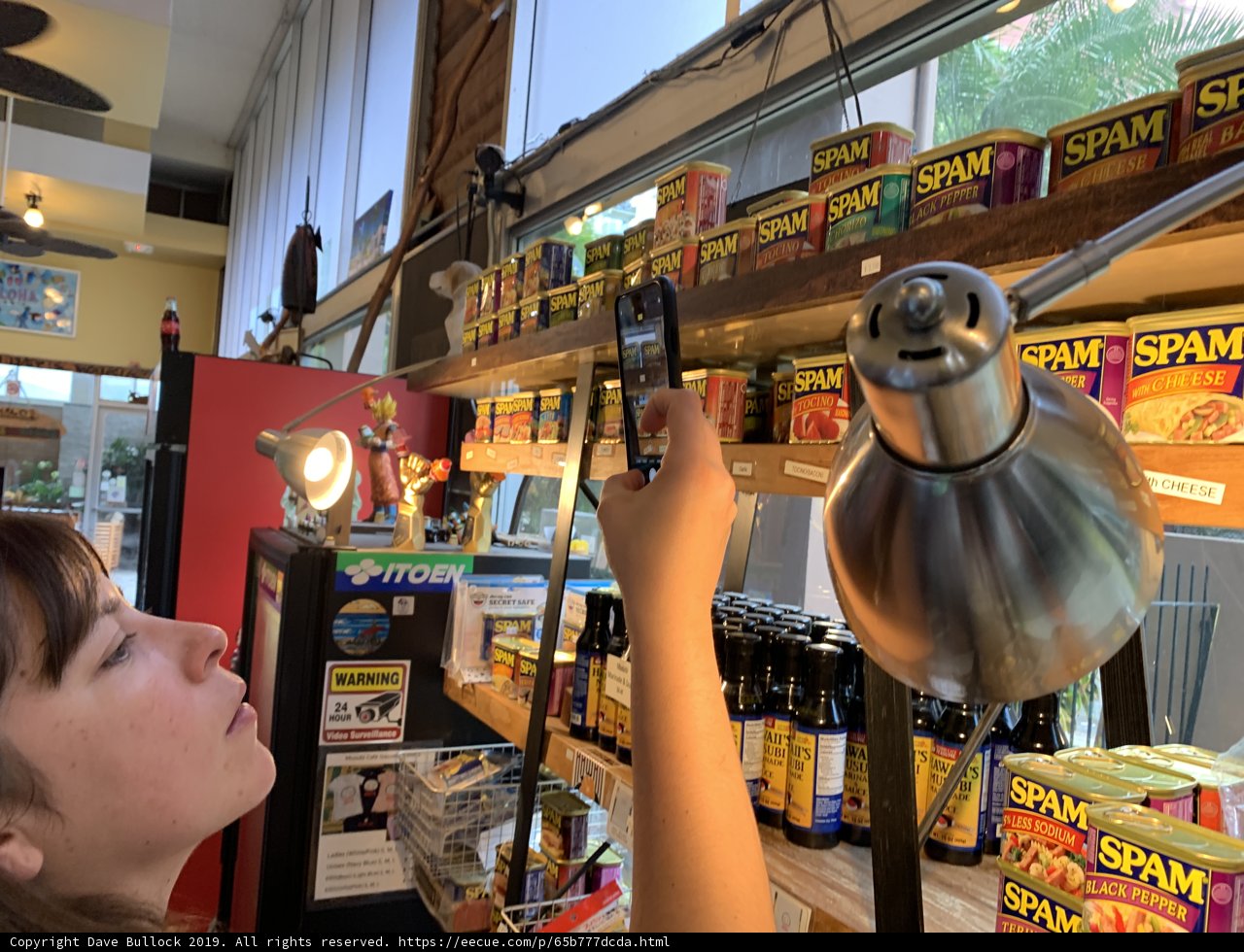 Capturing the Moment: A Woman Snaps a Picture of a Can of Food