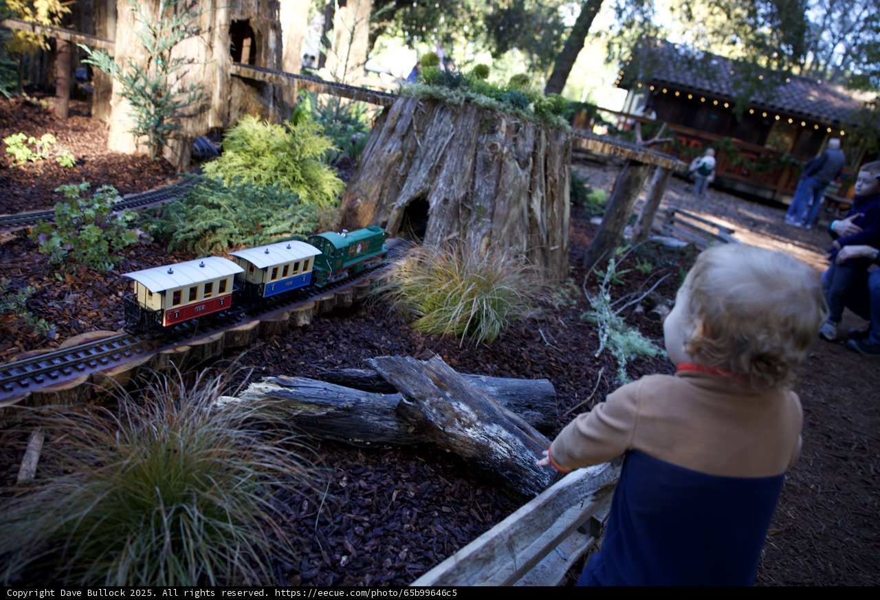 Miniature Railways and Woodland Wonders