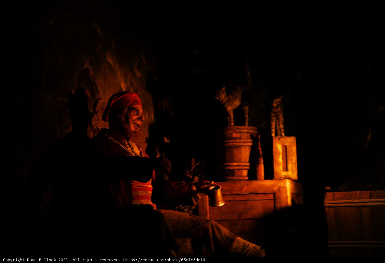 A Swashbuckling Night at Disneyland
