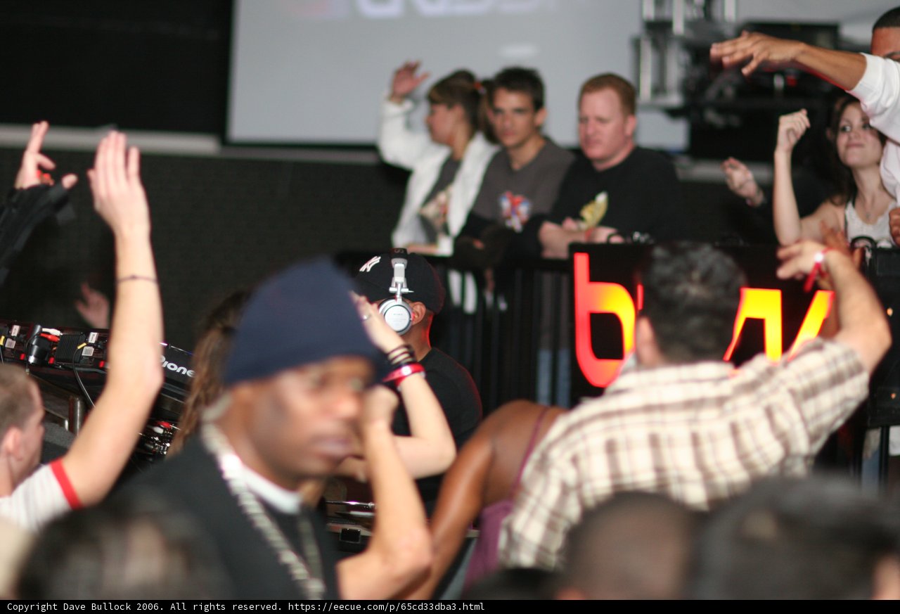 Black Shirt Man in the Midst of Excited Crowd