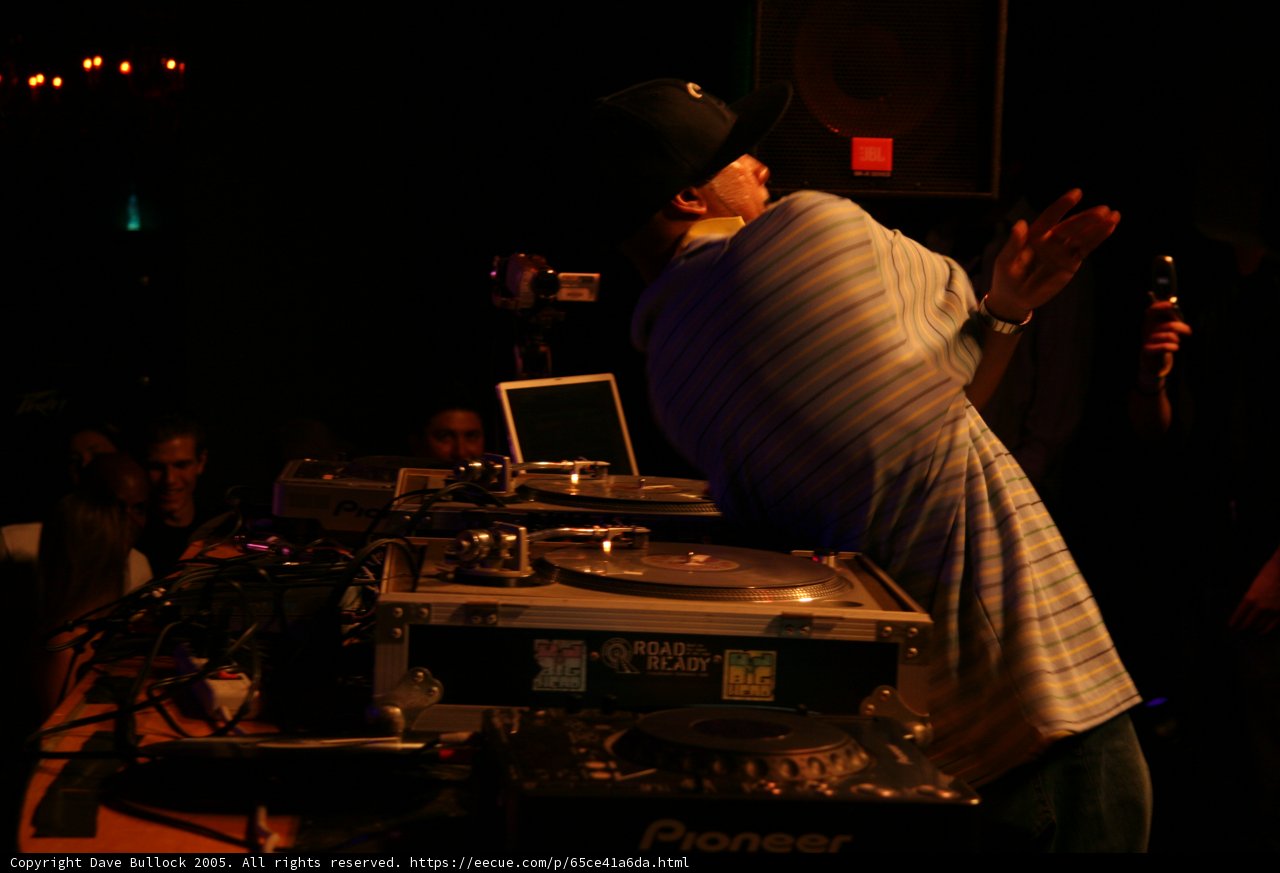 A Night of Music and Fun with the DJ