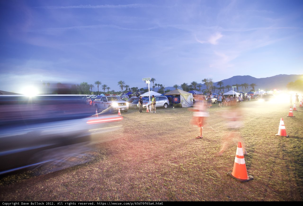 Running Wild at Coachella