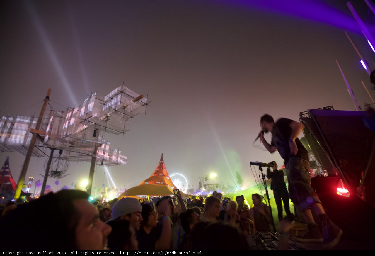 Coachella 2013: The Electric Crowd