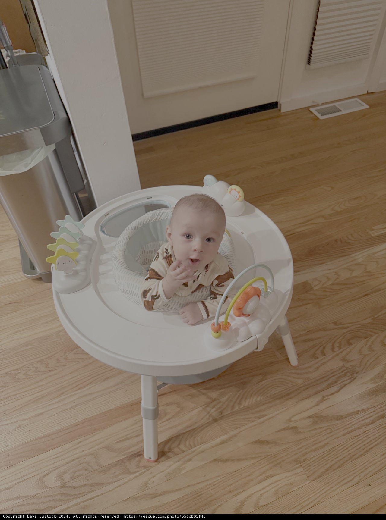 Baby's First Moments in Activity Chair
