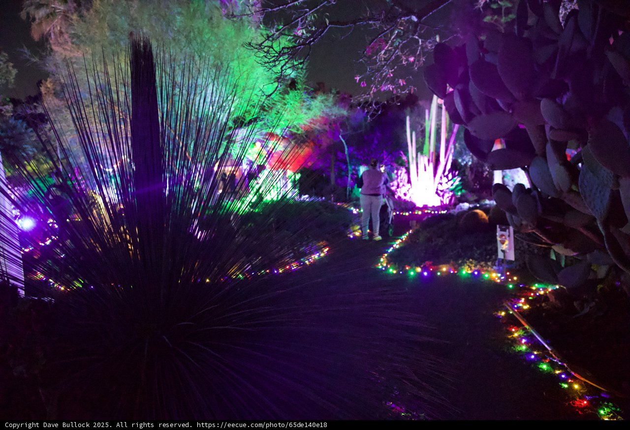 Enchanted Evenings at the Garden
