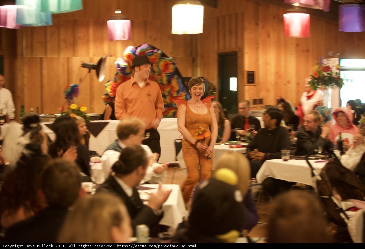 Costume Party at the Wickstrom Wedding