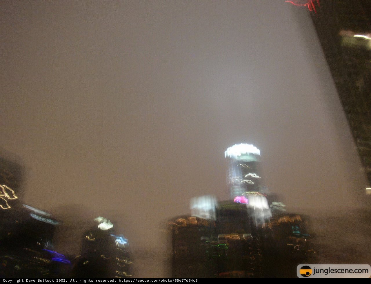 Foggy Giants in the Urban Jungle