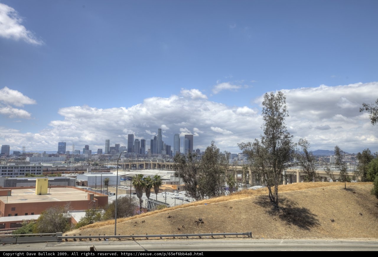 Overlooking the Urban Jungle
